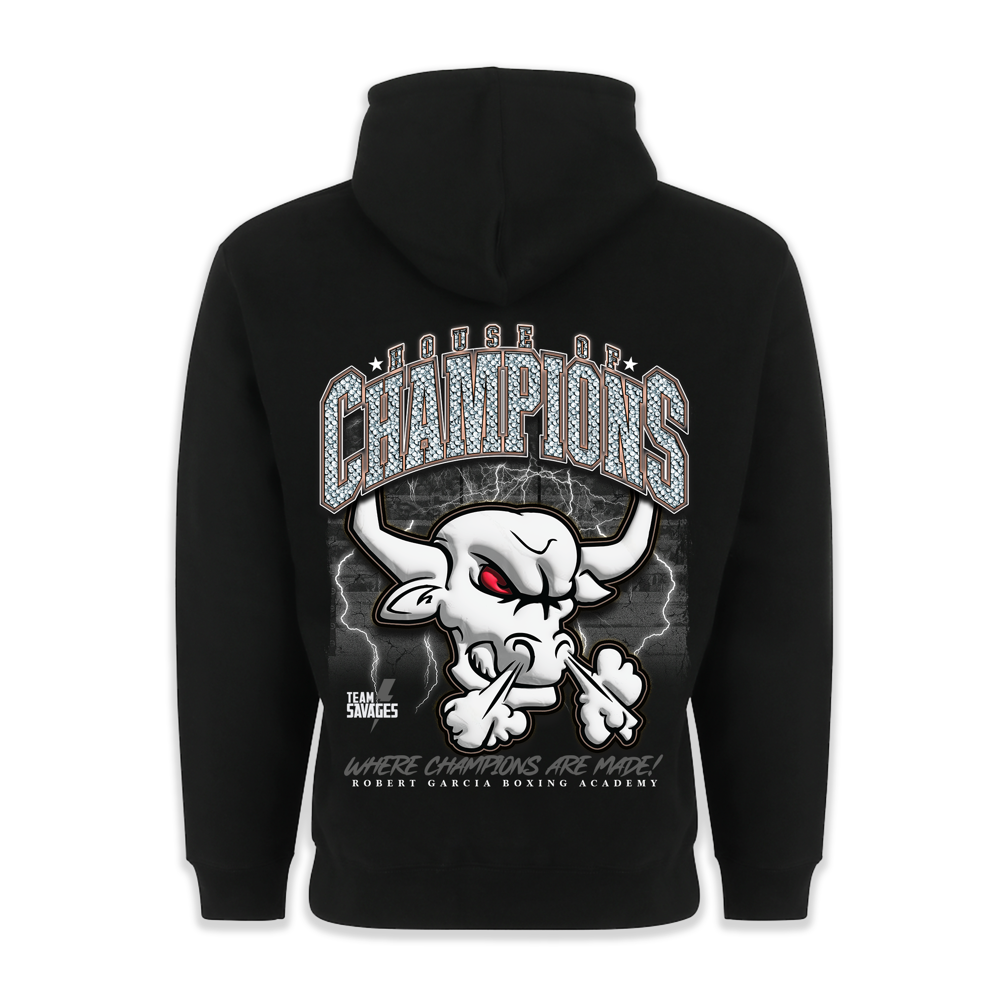 rgba-champions-hoodie-