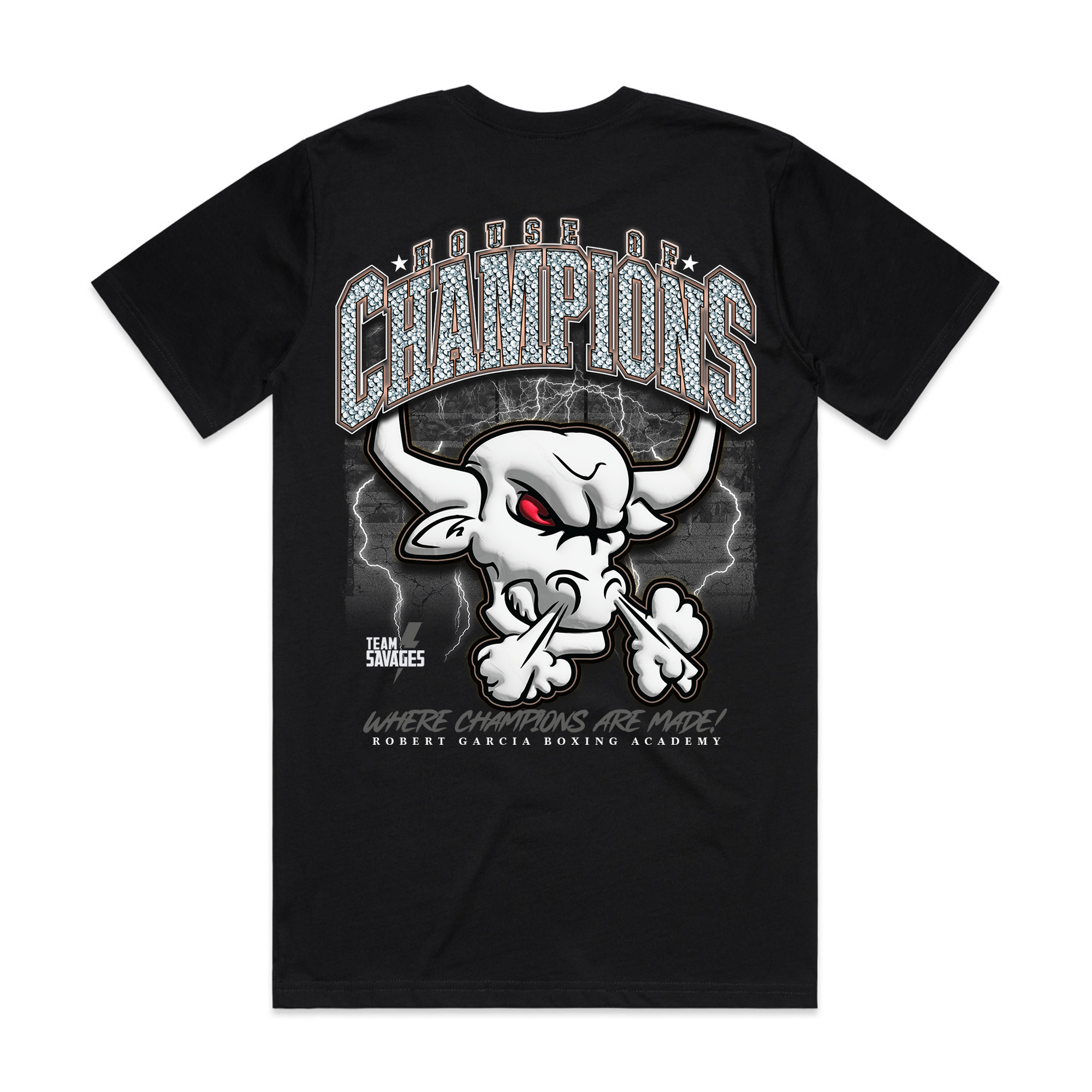Team Rgba Boxing RGBA House of Champions T-Shirt – Savage Lifestyle™