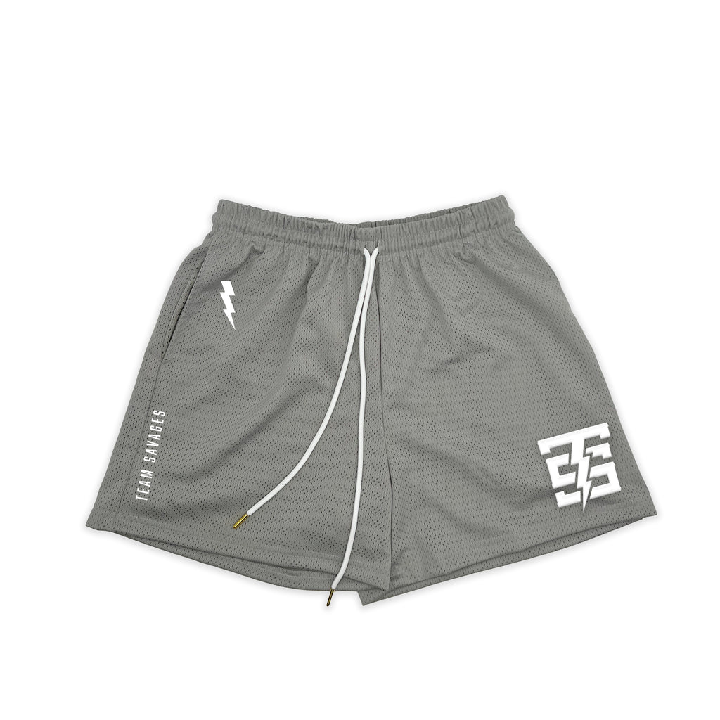 TS Mesh Shorts | Gray